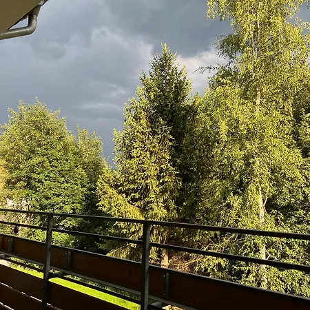 Elpe Apartments Hochsauerland Room photo