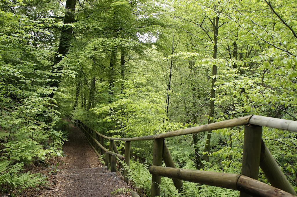 Hochsauerland Lejlighed Elpe