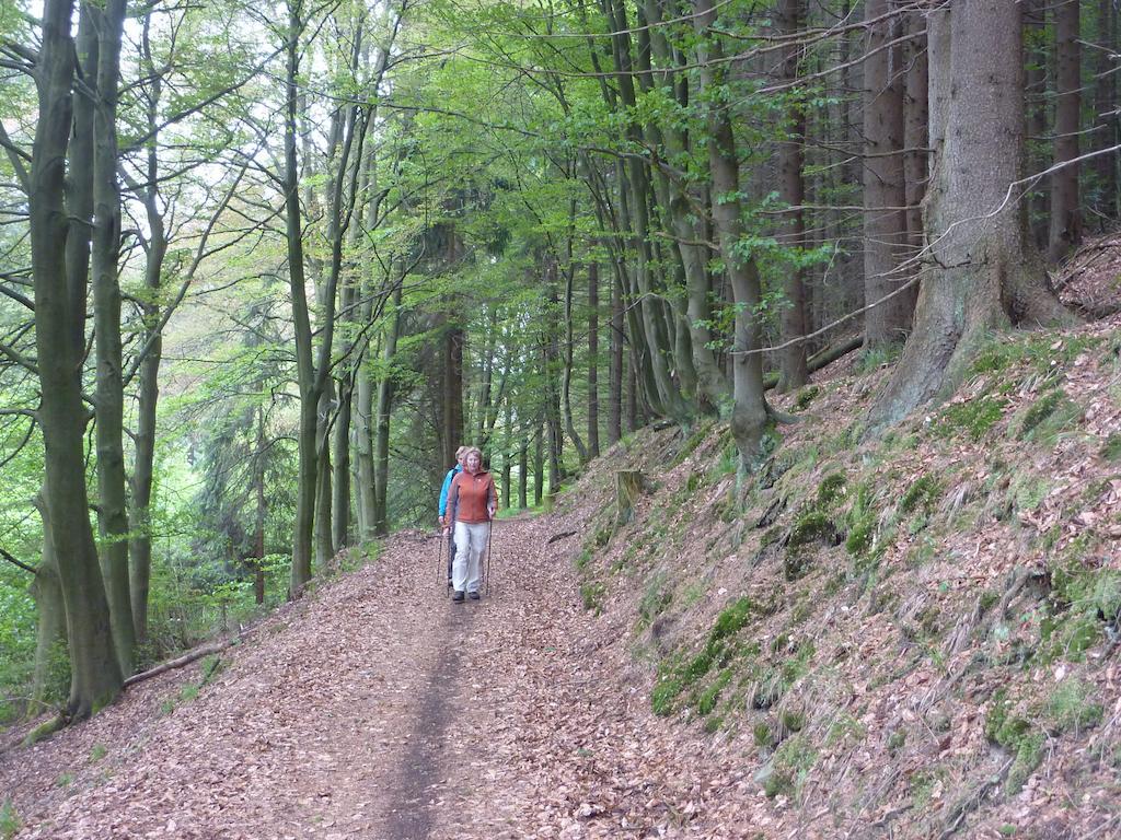 Lejlighed Hochsauerland *